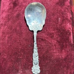 Elegant Silver Decorative Spoon